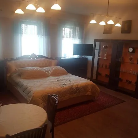 Apartament Vintage Ράντομ